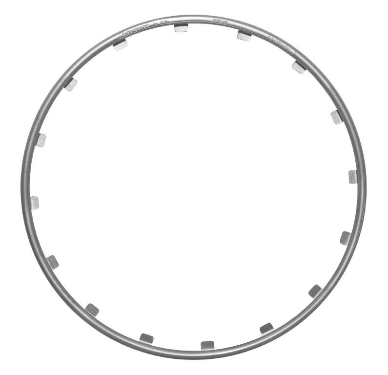 Rim Ringz Felgenschutzringe 19" in Silber